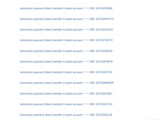 22 Payments Received AdSense Website For Sale